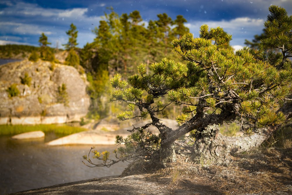 Photograph by Алексей Труханович