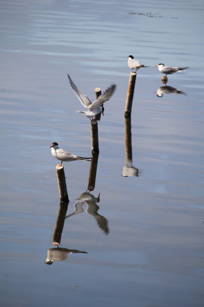 Photograph by Ольга Иртуганова