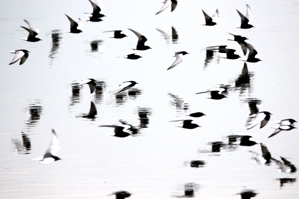 Photograph by Anna Suchcicka