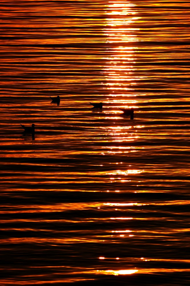 Photograph by Anna Suchcicka