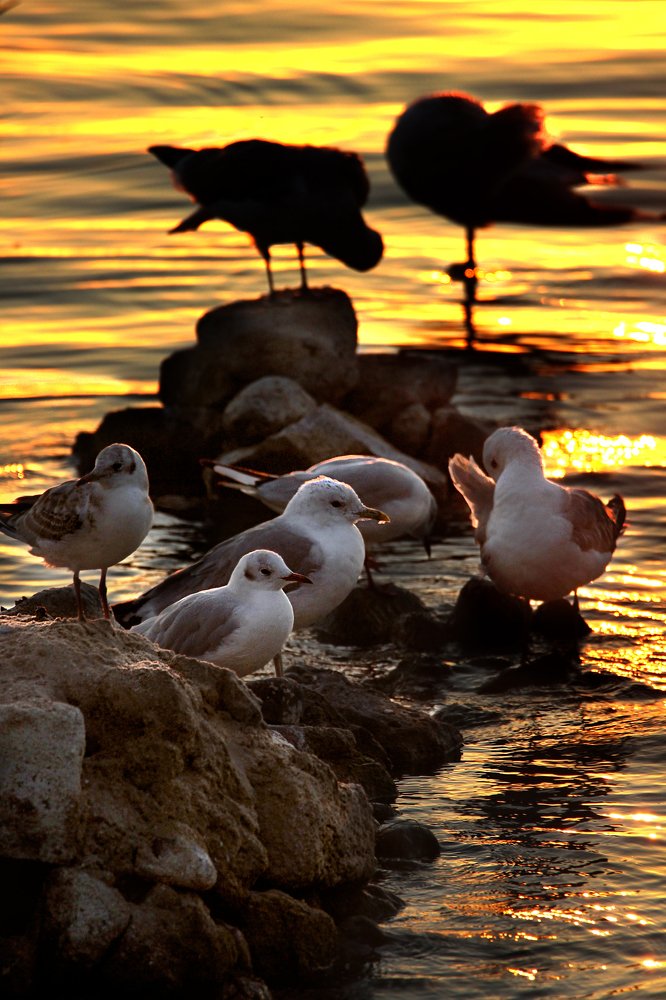 Photograph by Anna Suchcicka