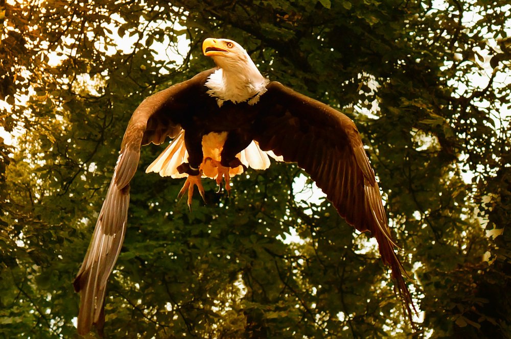 Фотография автора Tatiana Kadotschnikow