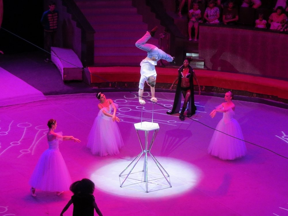 Балерины и гимнаст