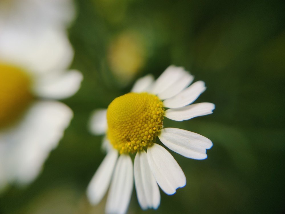 Photograph by Марина Титова