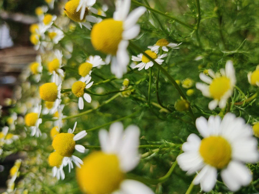 Photograph by Марина Титова