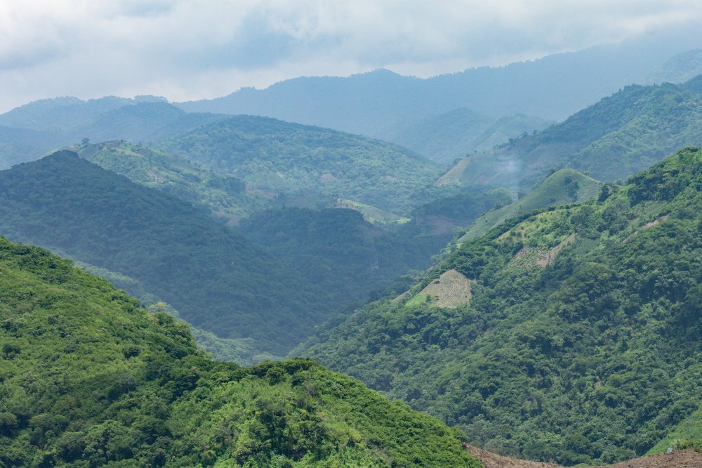 Photograph by Jesus Santamaría