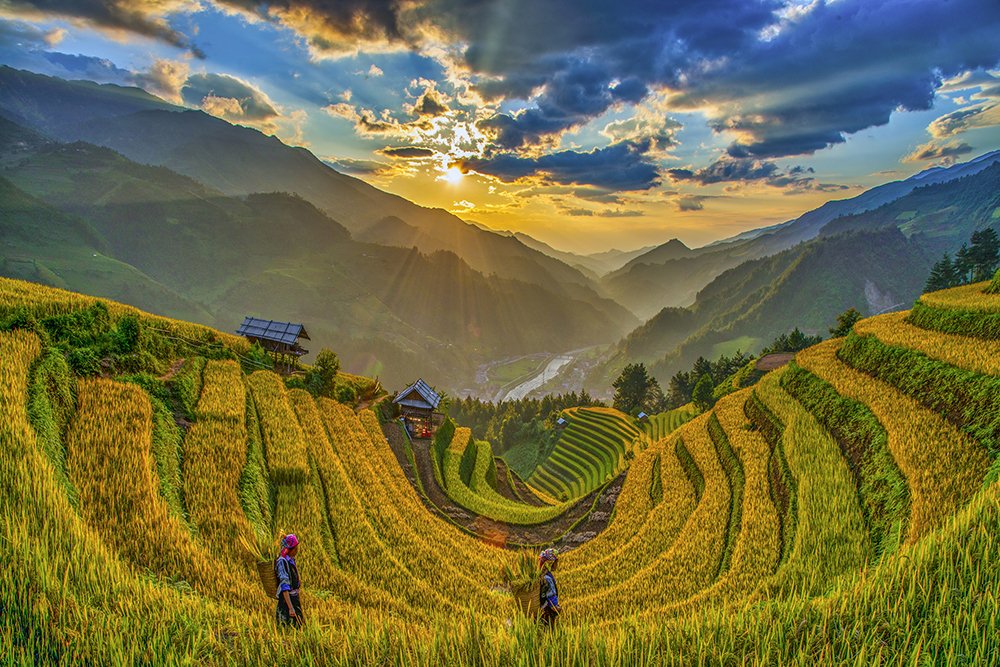 Afternoon at Sang Nhu