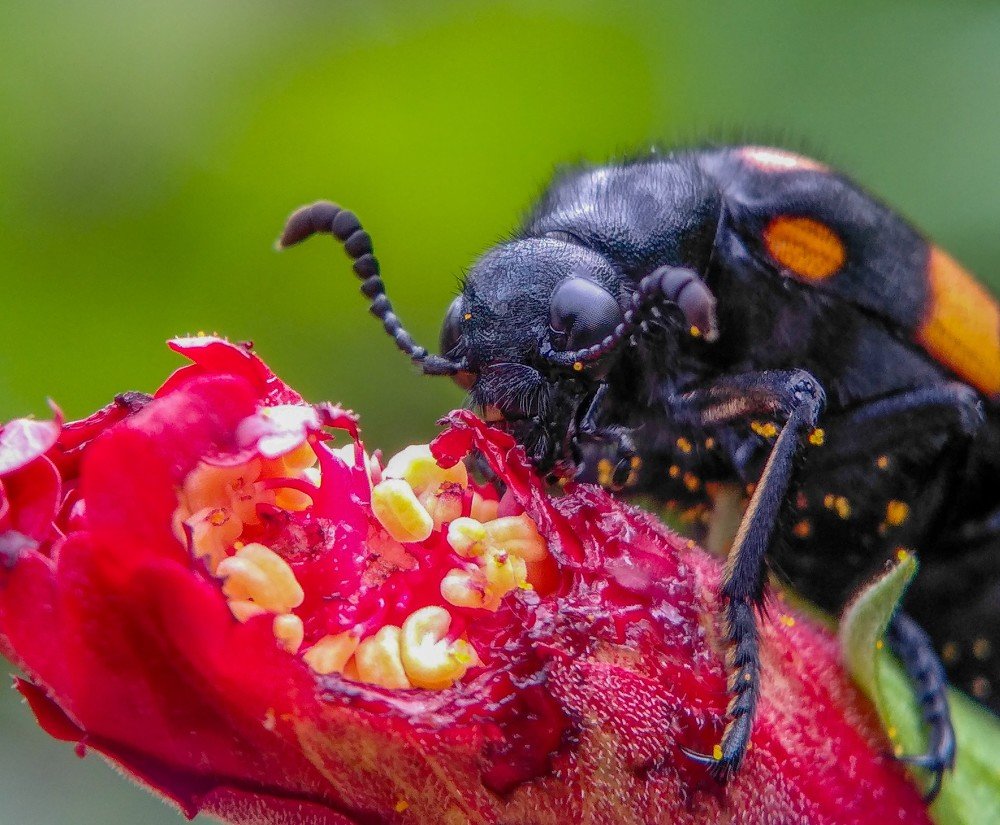 Photograph by Surojit Ghosh