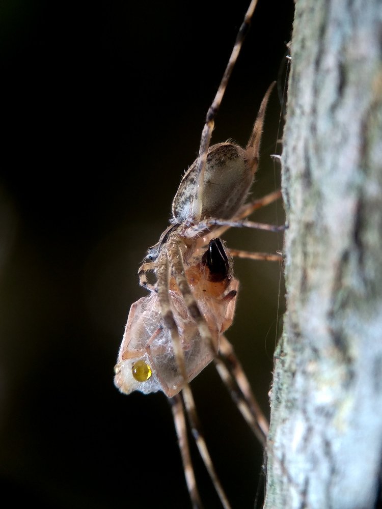 Photograph by Surojit Ghosh