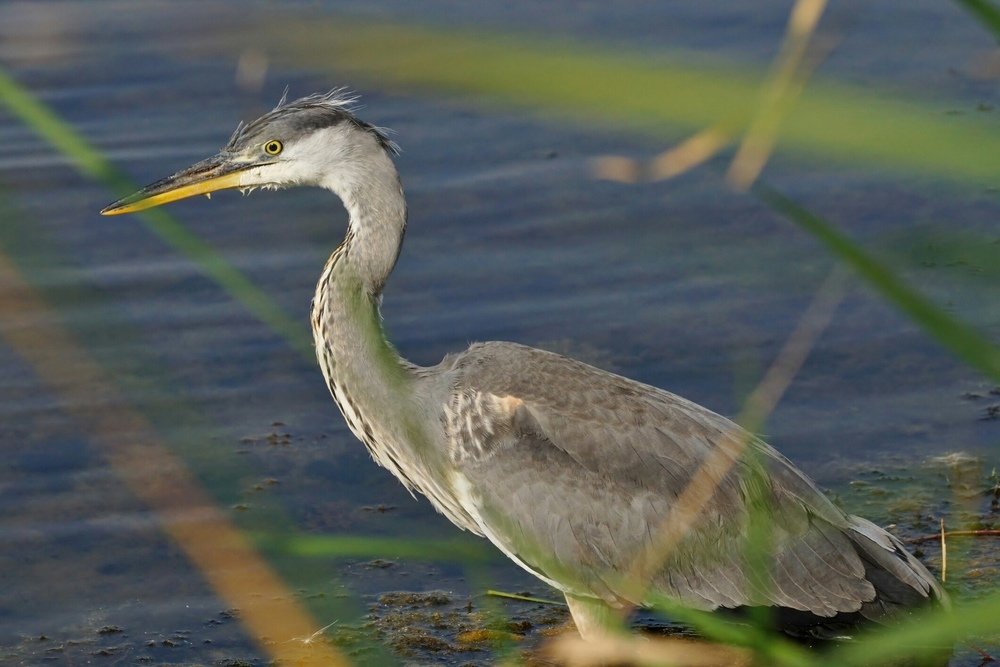 Photograph by Александр Попов