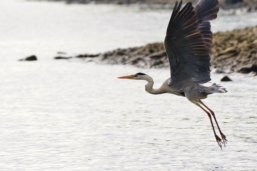 Photograph by Александр Попов