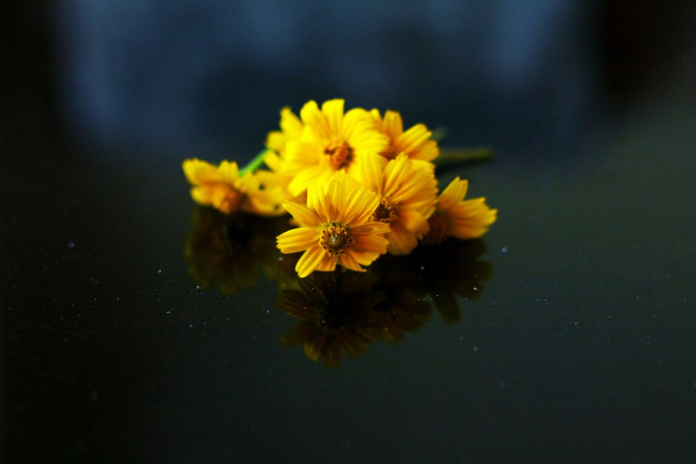 Photograph by Rijas Galleria