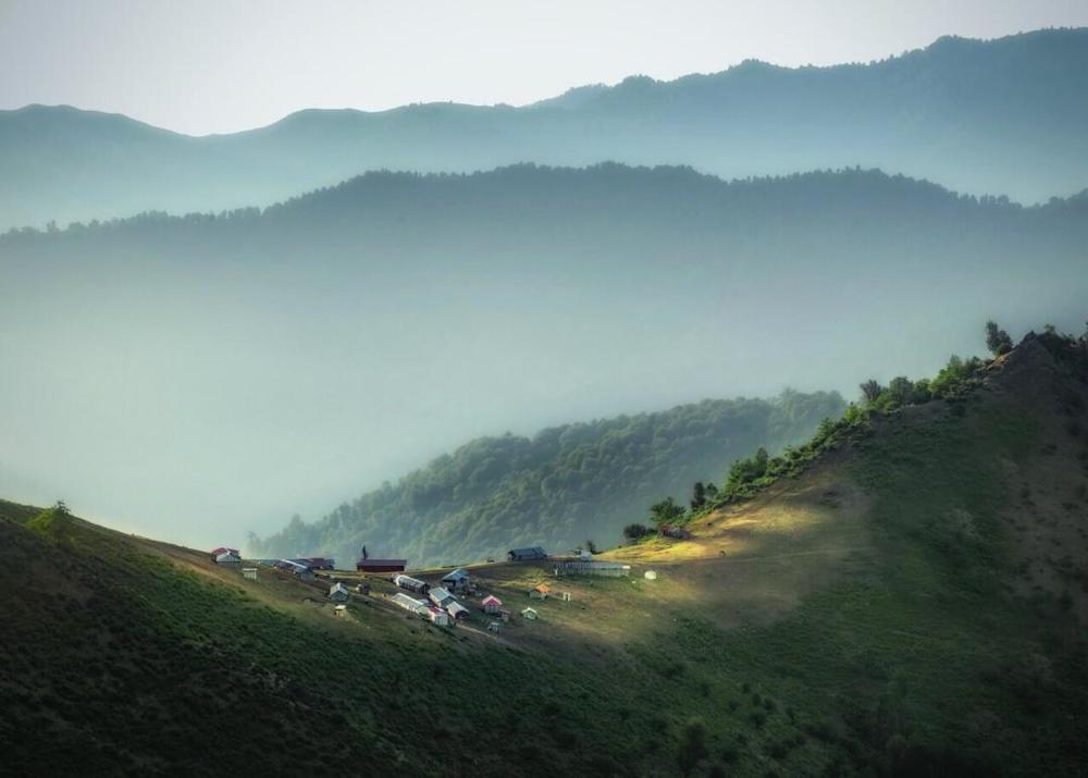 Photograph by Hamid musavi