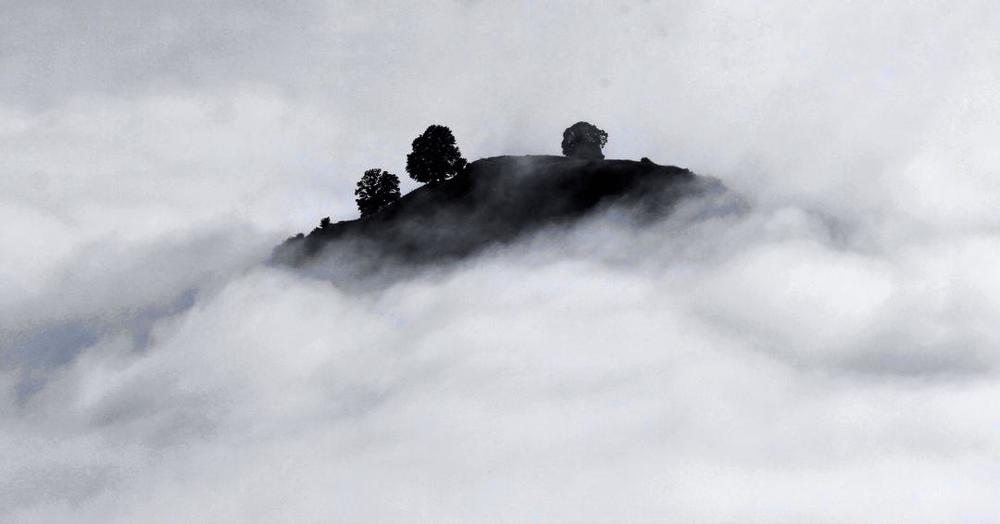 Photograph by Hamid musavi