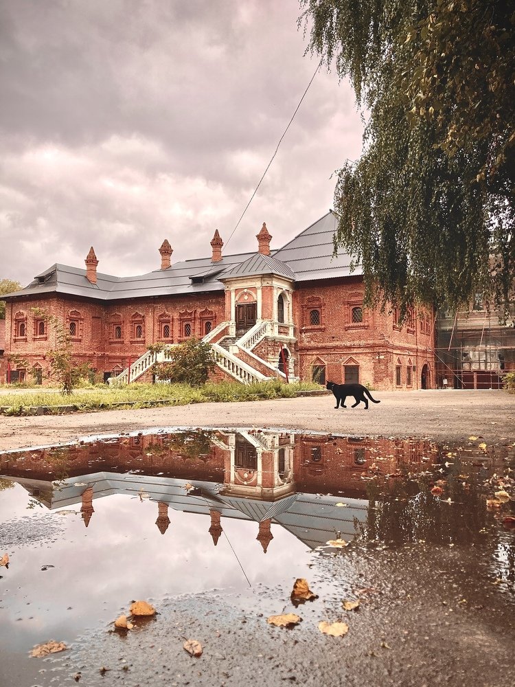 Photograph by Зоя Павкина