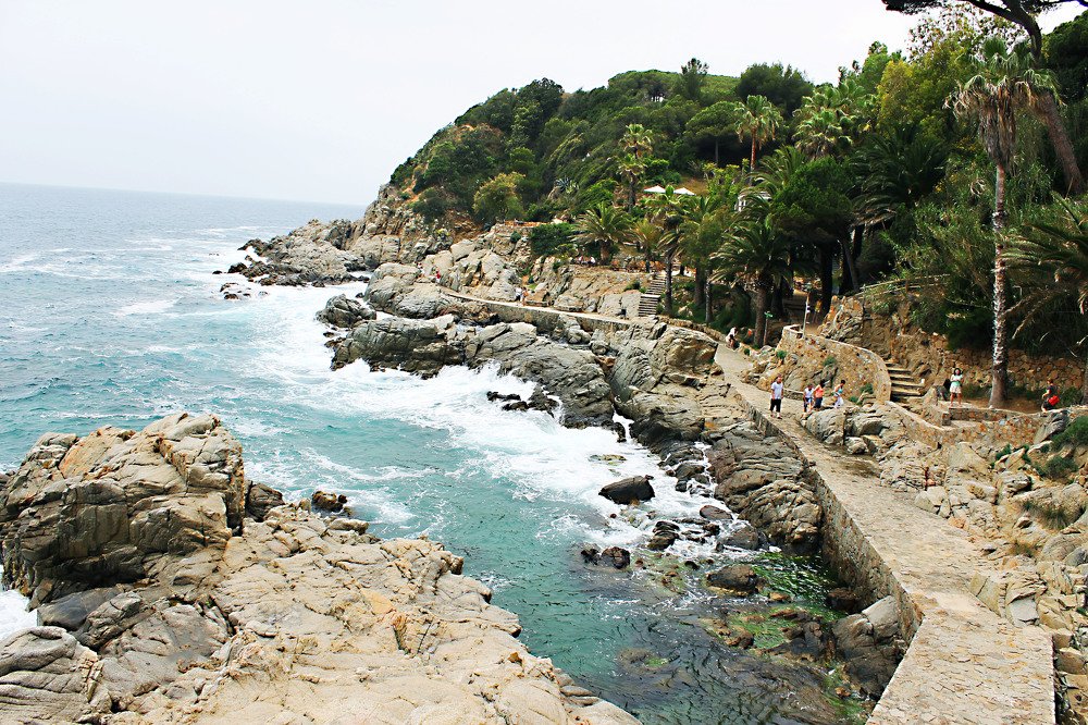 Photograph by Абрикосова