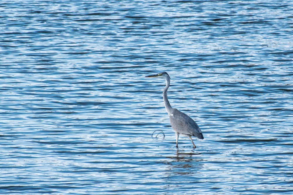 Photograph by Елена Прохорова