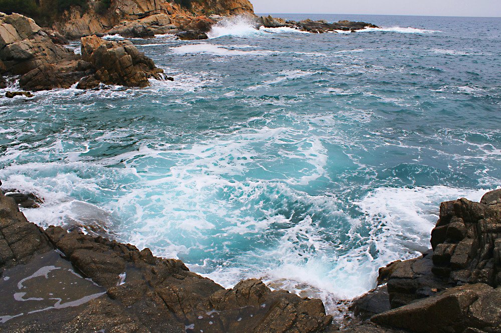 Photograph by Абрикосова