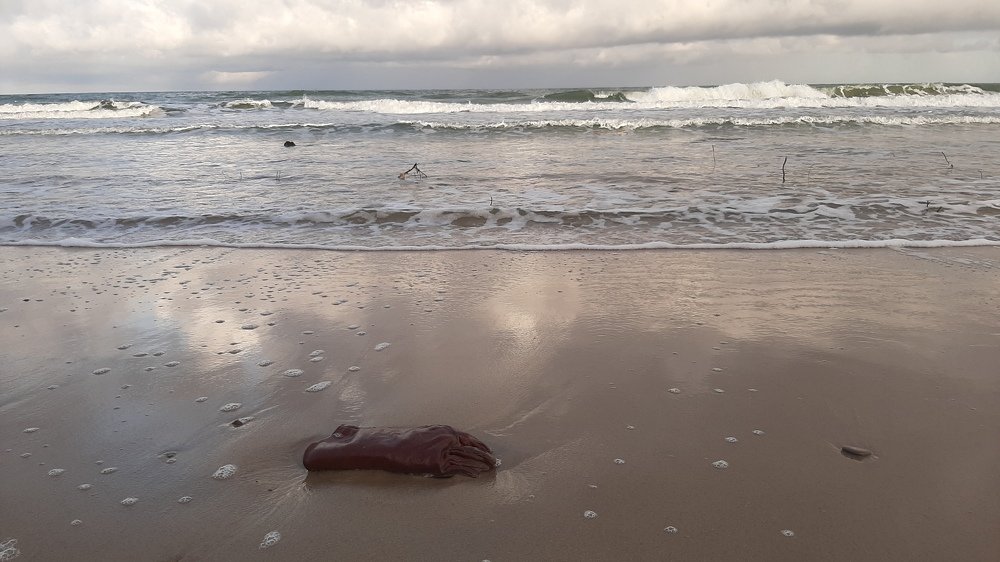 Photograph by Анастасия Зенкина