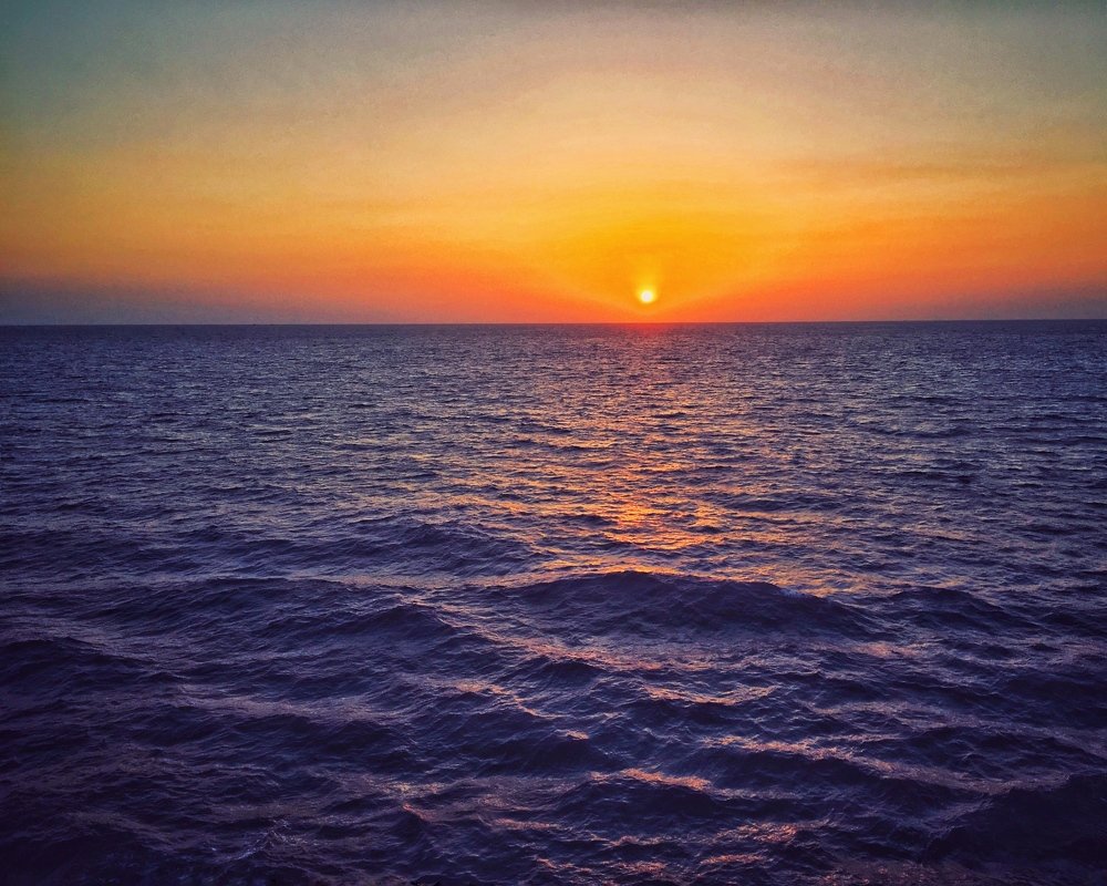 VITAMIN SEA