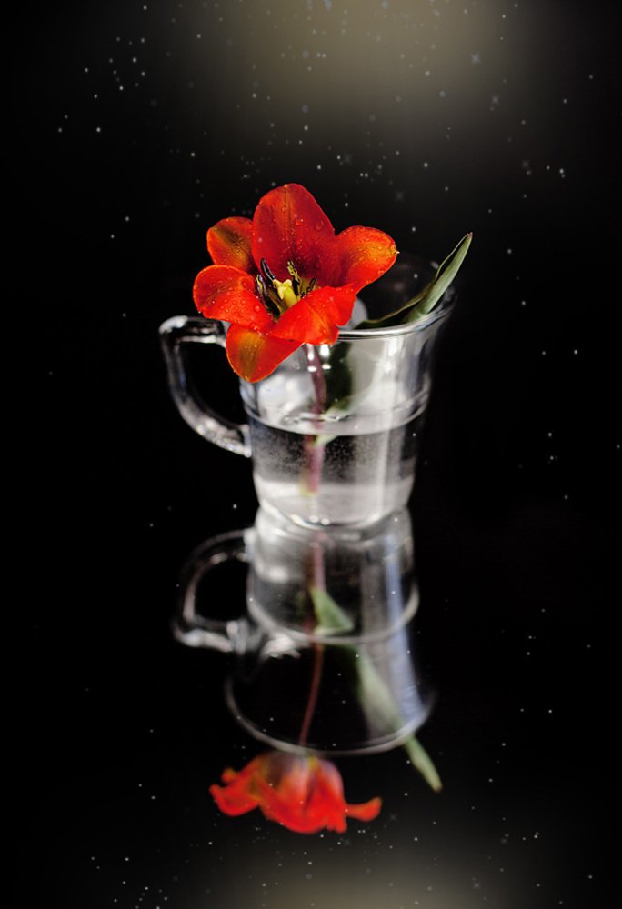 Photograph by Наталья Чиж