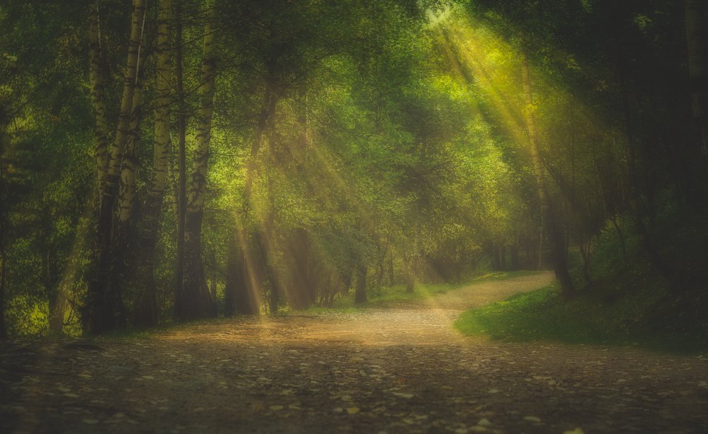 Photograph by Рымаров Александр