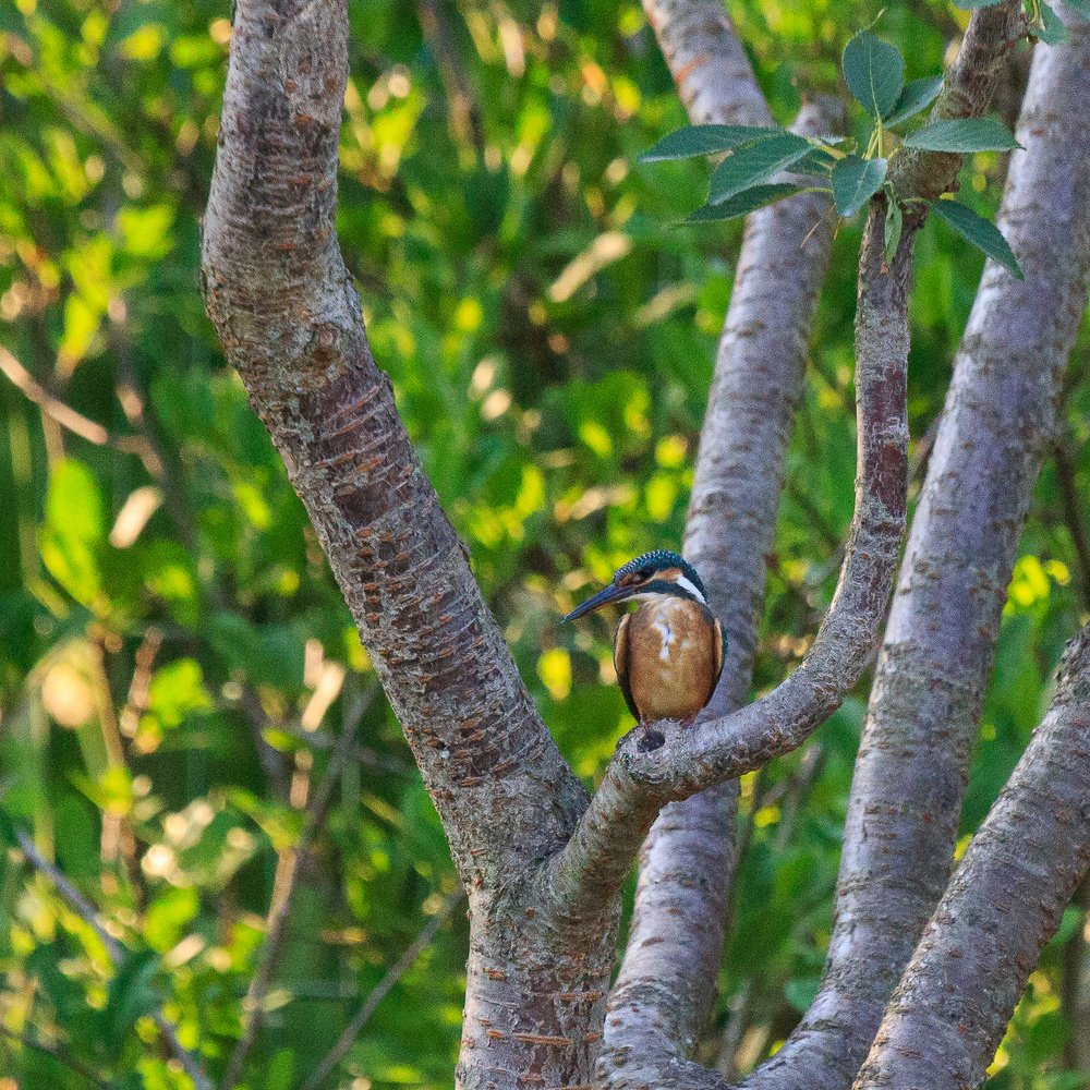 Фотография автора Василий Михайлин