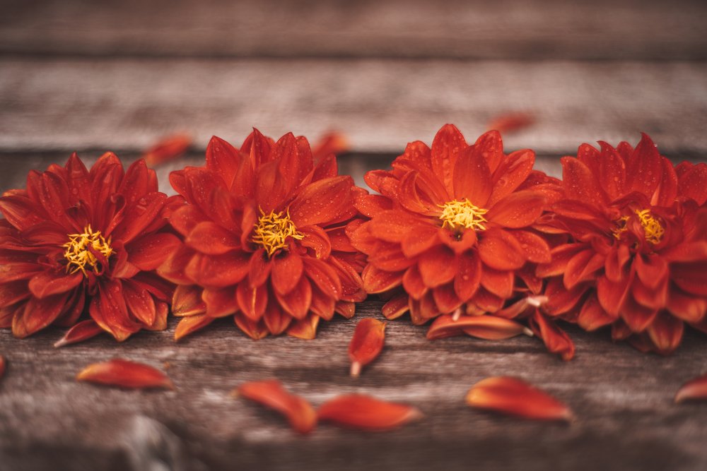 Photograph by Ольга Ривкина