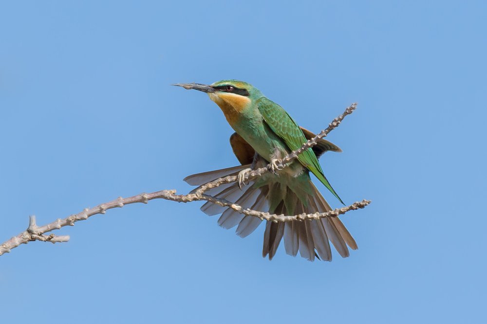 Photograph by Vahid Yavari