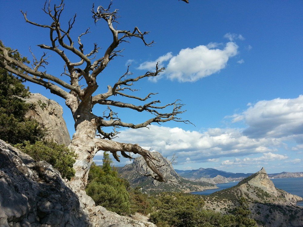 Photograph by Karasev Pavel