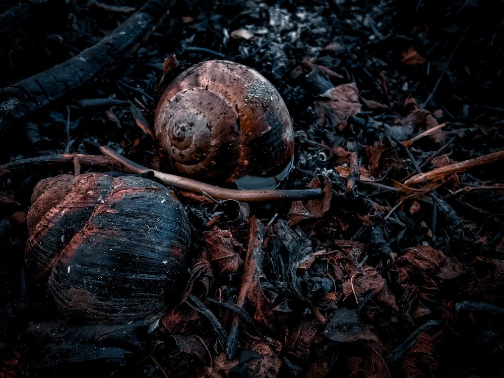 После пожара