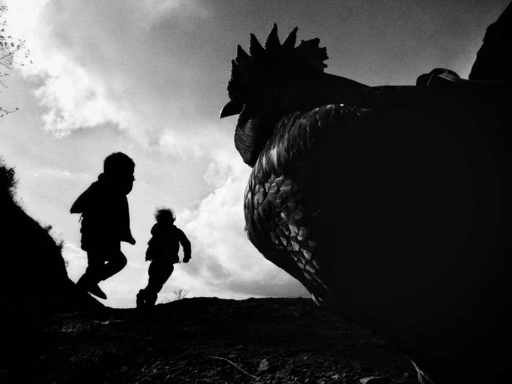 Photograph by Prajwal