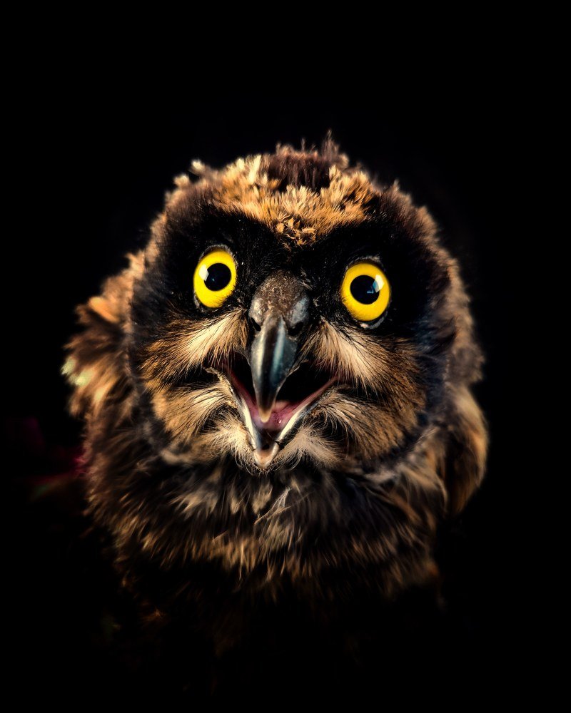 Photograph by Данила