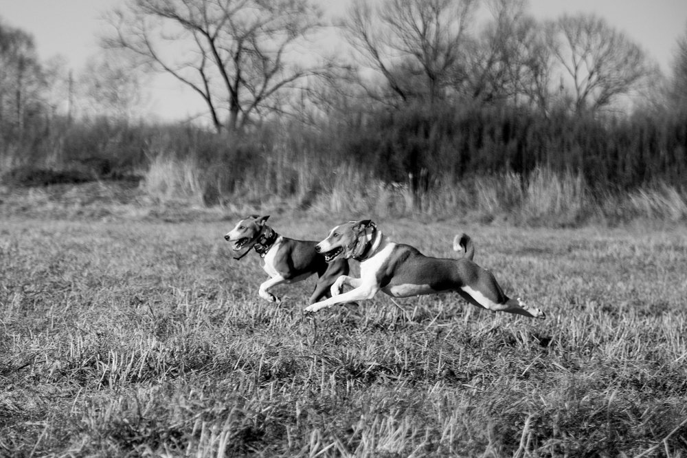 Photograph by Светлана Бевза