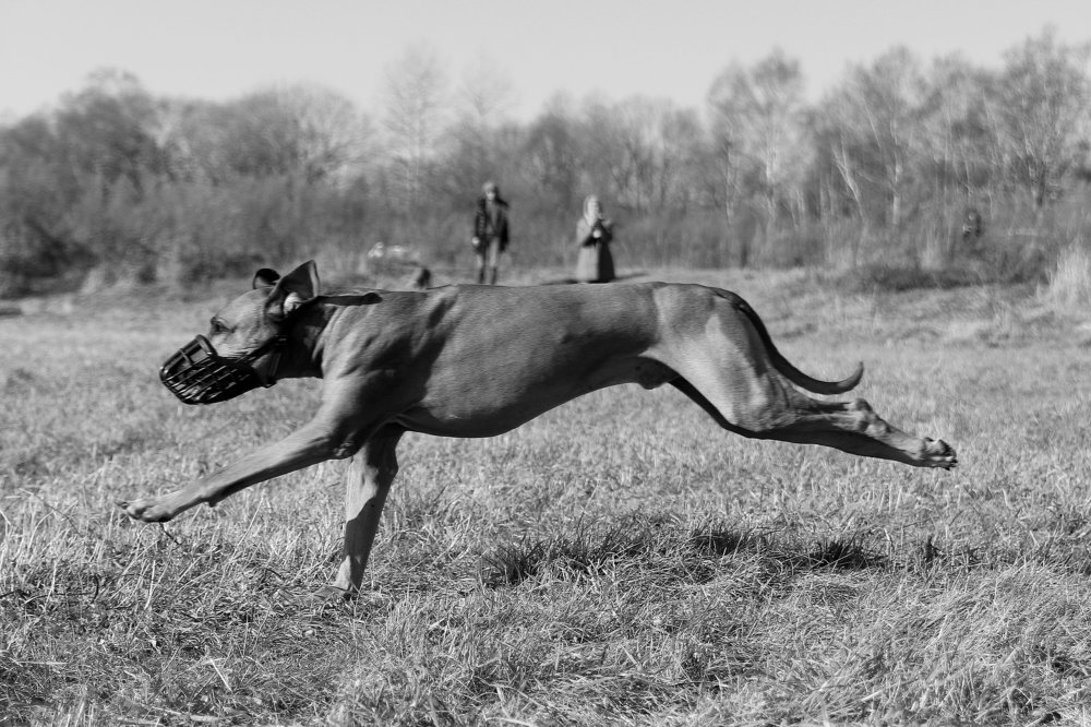 Photograph by Светлана Бевза