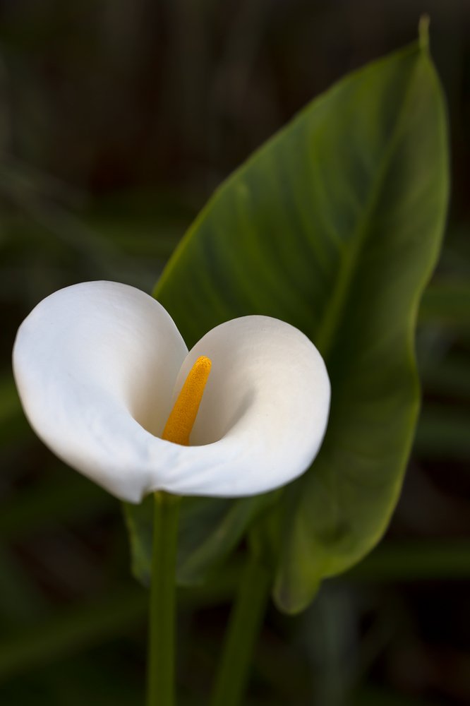 Photograph by Олег Тетерин