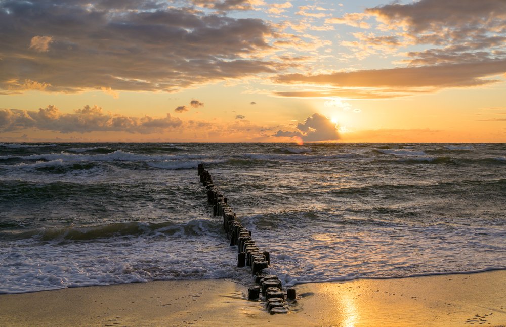 Photograph by Saulius Mikalauskas