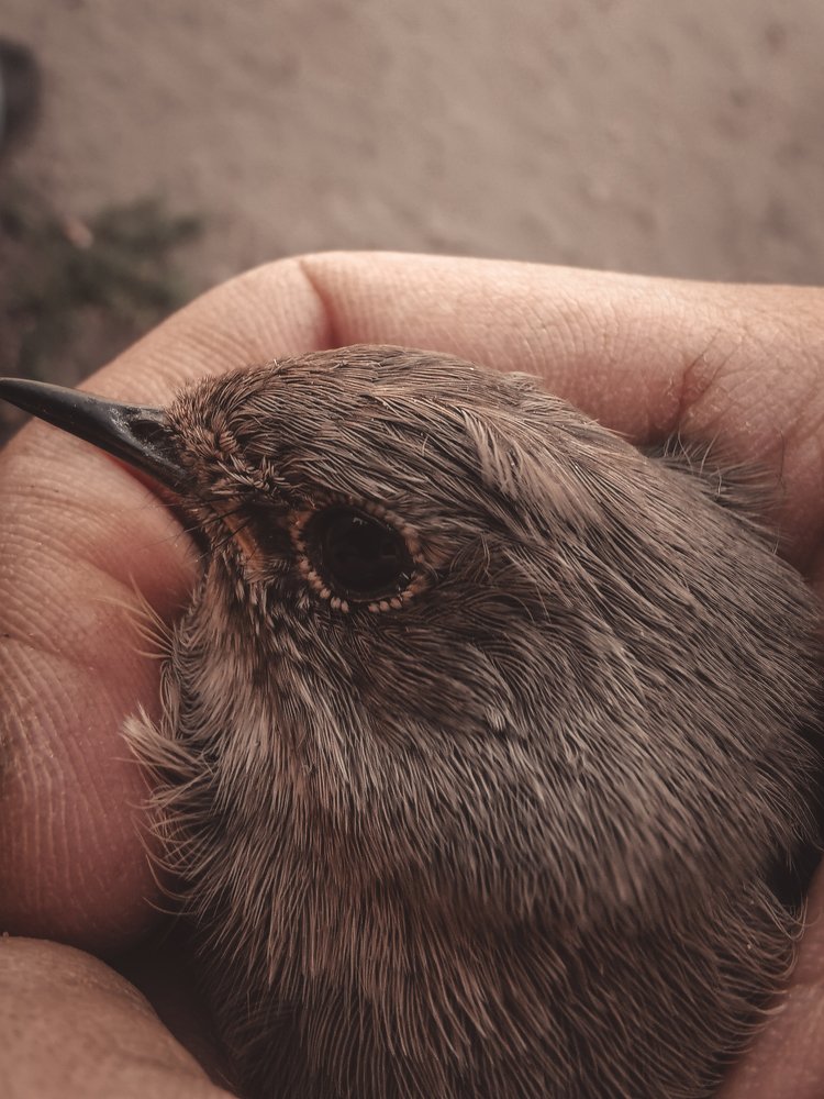 Photograph by Данила