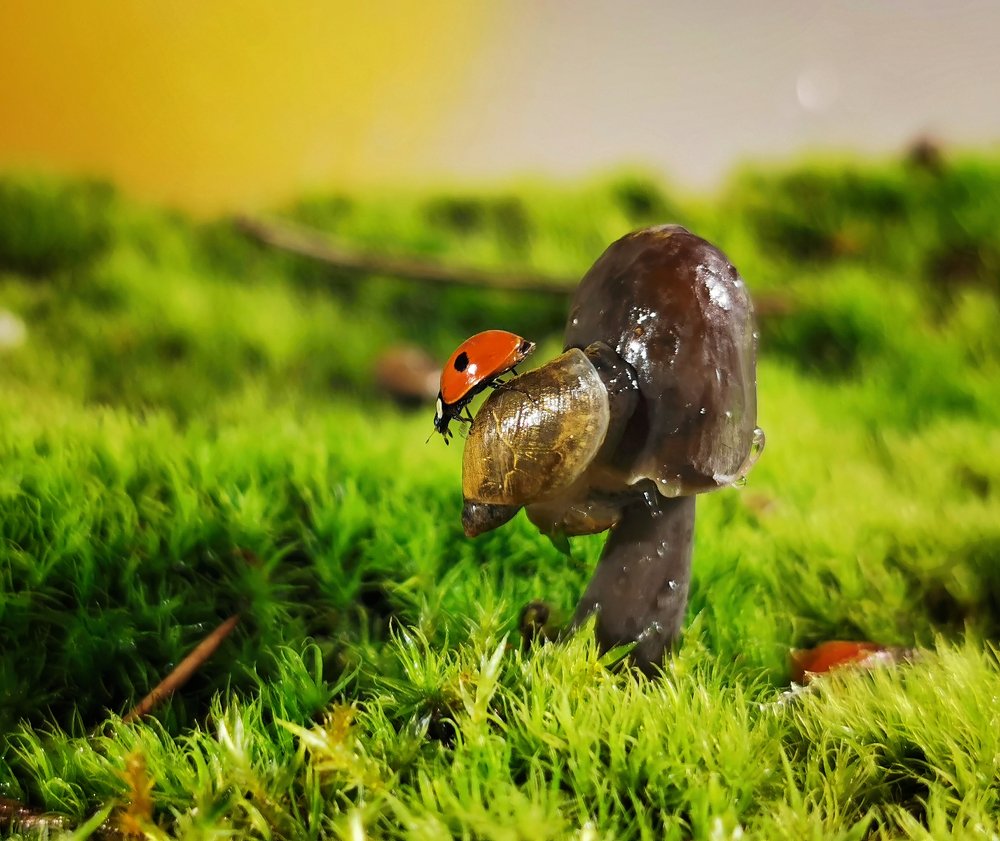 Photograph by Дмитрий Рассыльщиков