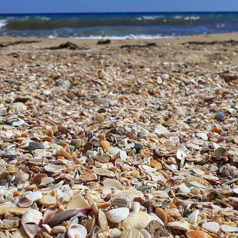 Golden Sands of Feodosia -Золотые пески Феодосии