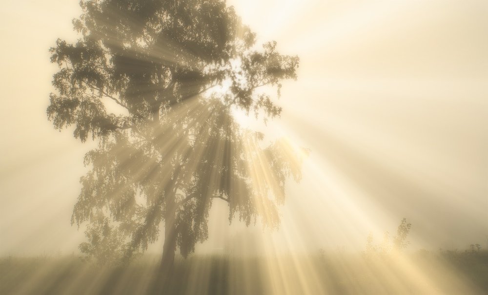 Photograph by Рымаров Александр