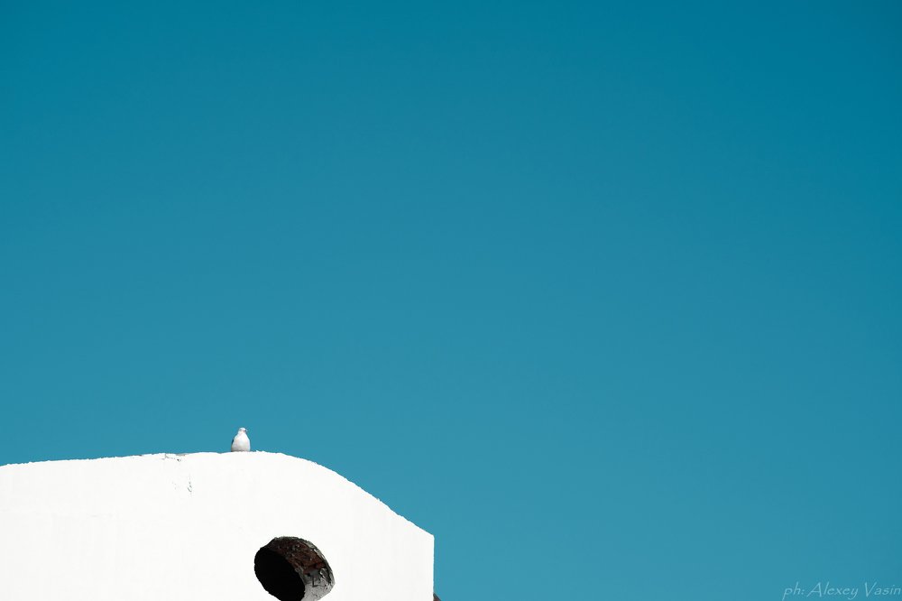 Photograph by Алексей Васин