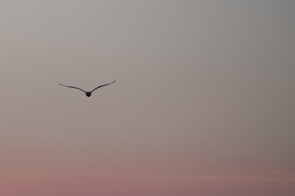 Photograph by Алексей Васин