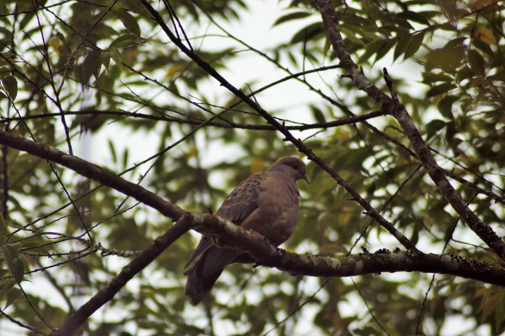 waiting for the world to change