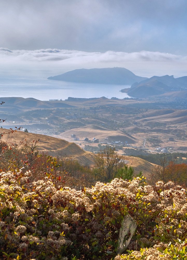 Photograph by Александр Пугачев