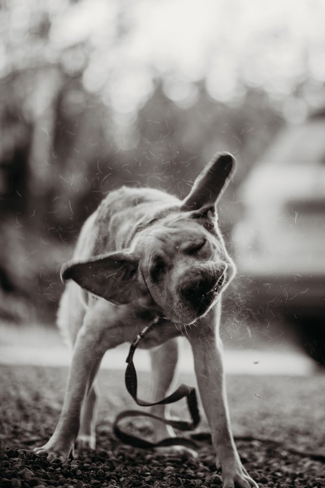 Photograph by Анна Белка