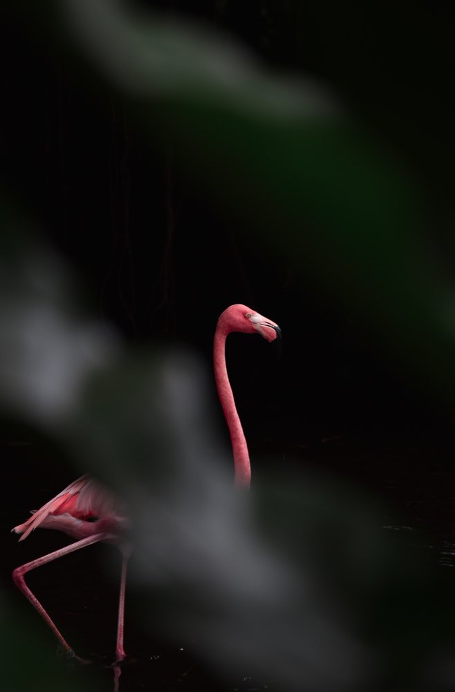 Photograph by Khalidevan Moorthy