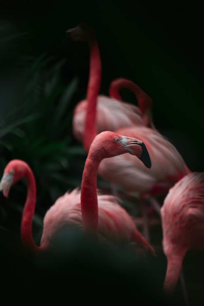 Photograph by Khalidevan Moorthy