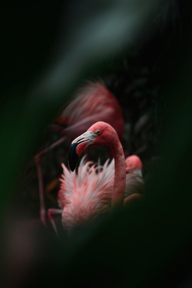 Photograph by Khalidevan Moorthy