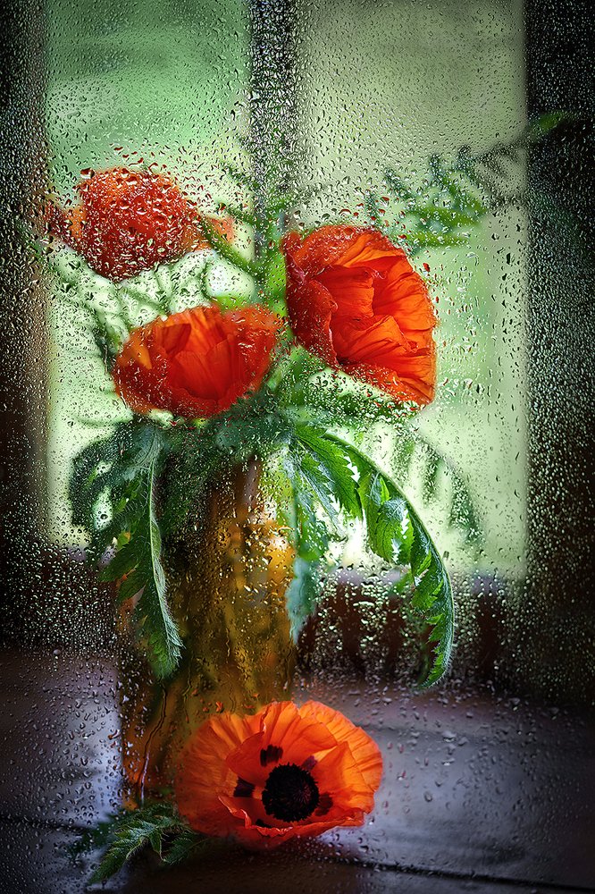 Photograph by ЯR Ольга